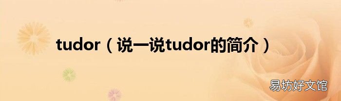 说一说tudor的简介 tudor