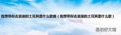 我想带你去浪漫的土耳其是什么歌 我想带你去浪漫的土耳其是什么歌曲