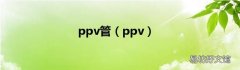 ppv ppv管