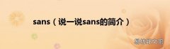 说一说sans的简介 sans