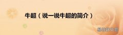 说一说牛超的简介 牛超