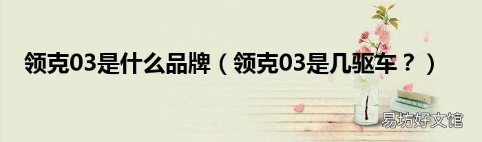 领克03是几驱车? 领克03是什么品牌