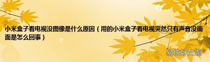 用的小米盒子看电视突然只有声音没画面是怎么回事 小米盒子看电视没图像是什么原因