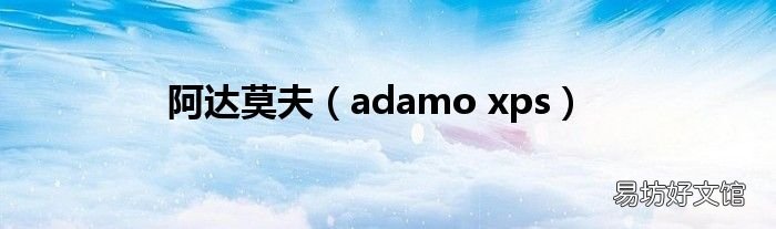 adamo xps 阿达莫夫