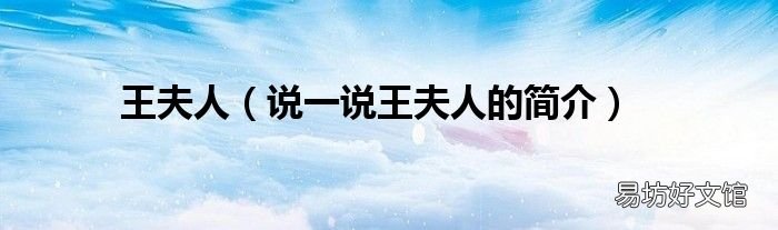 说一说王夫人的简介 王夫人