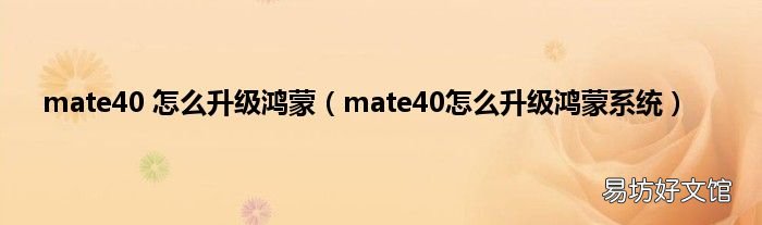 mate40怎么升级鸿蒙系统 mate40 怎么升级鸿蒙