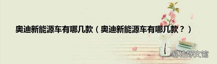 奥迪新能源车有哪几款? 奥迪新能源车有哪几款