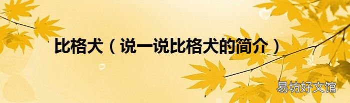 说一说比格犬的简介 比格犬