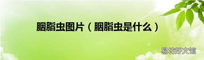 胭脂虫是什么 胭脂虫图片