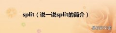说一说split的简介 split