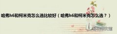 哈弗h6和柯米克怎么选？ 哈弗h6和柯米克怎么选比较好