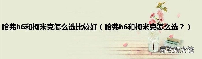 哈弗h6和柯米克怎么选? 哈弗h6和柯米克怎么选比较好