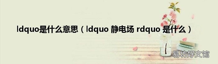 ldquo 静电场 rdquo 是什么 ldquo是什么意思