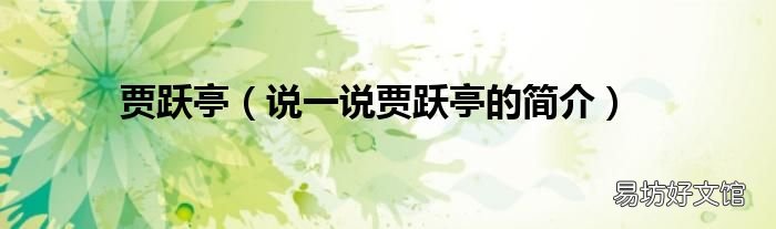 说一说贾跃亭的简介 贾跃亭