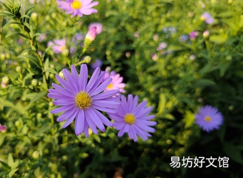 评测不买三星S8和朋友圈的姐姐为啥这么美是什么原因