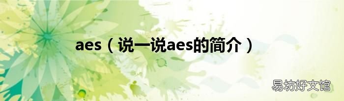 说一说aes的简介 aes