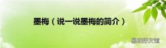 说一说墨梅的简介 墨梅