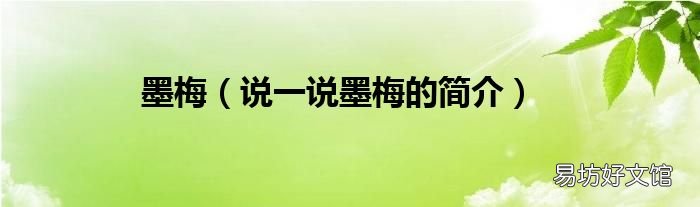 说一说墨梅的简介 墨梅