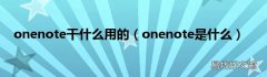 onenote是什么 onenote干什么用的