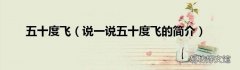 说一说五十度飞的简介 五十度飞