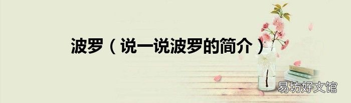 说一说波罗的简介 波罗