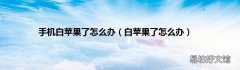 白苹果了怎么办 手机白苹果了怎么办
