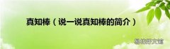 说一说真知棒的简介 真知棒