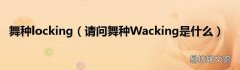 请问舞种Wacking是什么 舞种locking
