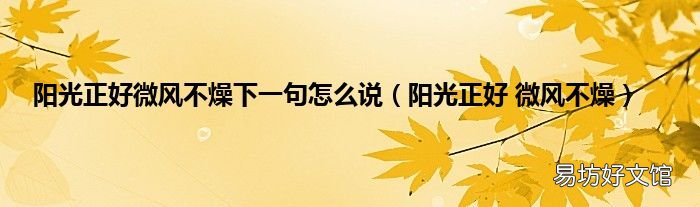 阳光正好 微风不燥 阳光正好微风不燥下一句怎么说