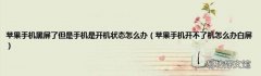 苹果手机开不了机怎么办白屏 苹果手机黑屏了但是手机是开机状态怎么办