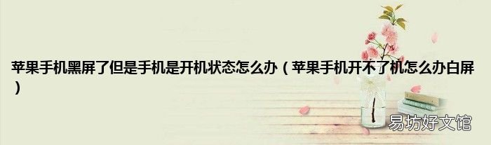 苹果手机开不了机怎么办白屏 苹果手机黑屏了但是手机是开机状态怎么办