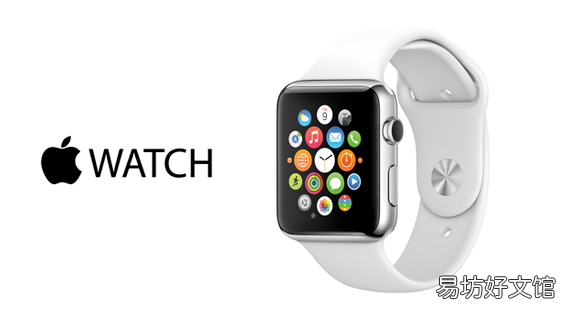 苹果Apple Watch拥有33.5%的市场份额