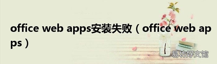 office web apps office web apps安装失败