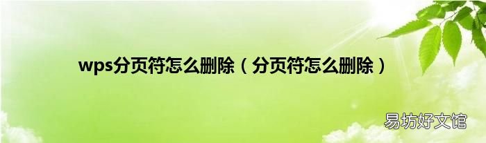 分页符怎么删除 wps分页符怎么删除