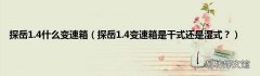 探岳1.4变速箱是干式还是湿式？ 探岳1.4什么变速箱