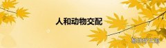 人和动物交配
