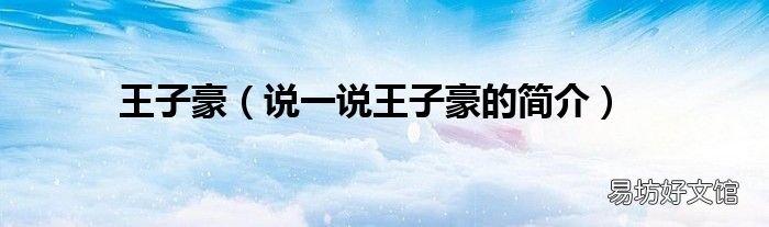 说一说王子豪的简介 王子豪