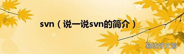 说一说svn的简介 svn