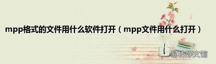 mpp文件用什么打开 mpp格式的文件用什么软件打开