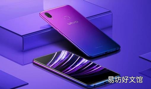 Vivo Z1X售价超过15000卢比 仅在线销售