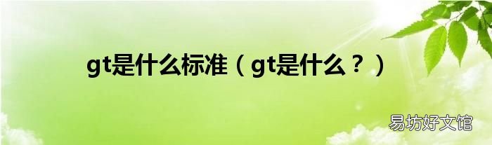 gt是什么? gt是什么标准