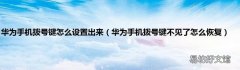 华为手机拨号键不见了怎么恢复 华为手机拨号键怎么设置出来