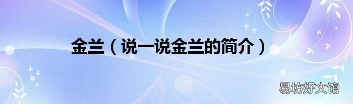说一说金兰的简介 金兰