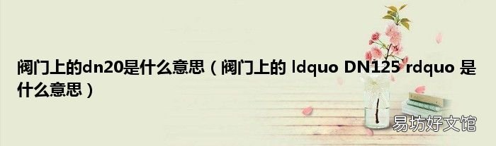 阀门上的 ldquo DN125 rdquo 是什么意思 阀门上的dn20是什么意思