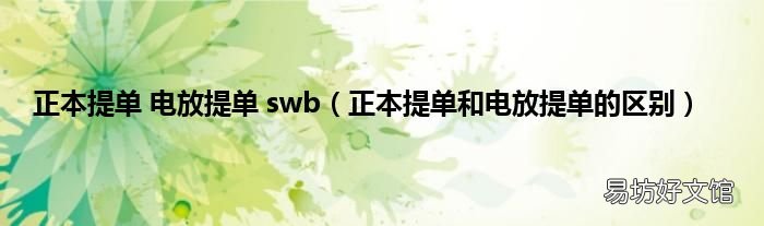 正本提单和电放提单的区别 正本提单 电放提单 swb