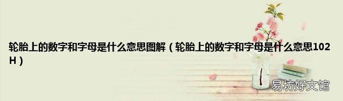 轮胎上的数字和字母是什么意思102H 轮胎上的数字和字母是什么意思图解
