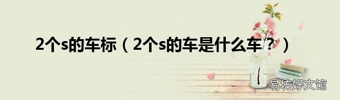 2个s的车是什么车? 2个s的车标