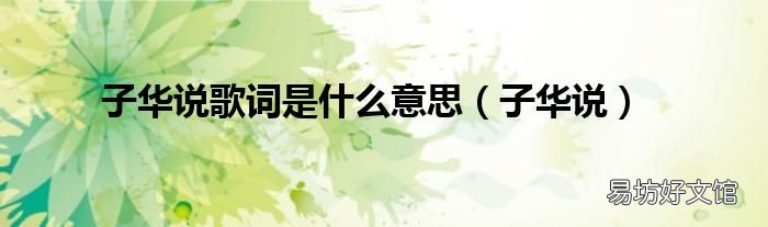 子华说 子华说歌词是什么意思