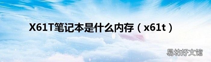x61t X61T笔记本是什么内存