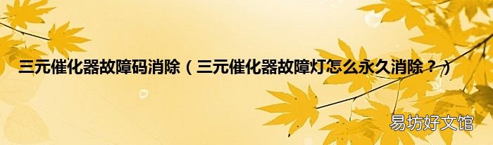 三元催化器故障灯怎么永久消除? 三元催化器故障码消除